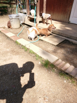 f:id:roukenhome-ann:20190410080739j:plain