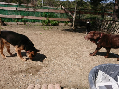 f:id:roukenhome-ann:20190410080851j:plain