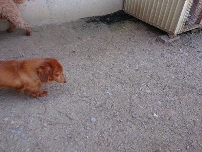 f:id:roukenhome-ann:20190410080957j:plain