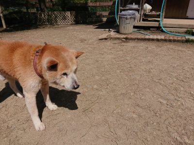 f:id:roukenhome-ann:20190410081107j:plain
