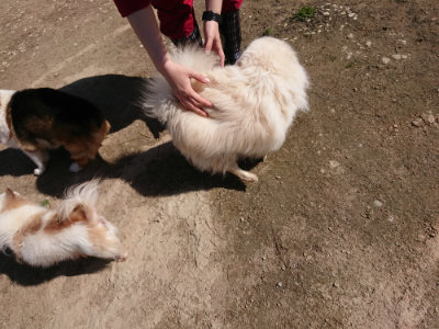 f:id:roukenhome-ann:20190410081117j:plain