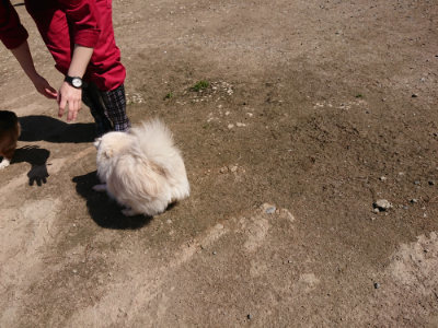 f:id:roukenhome-ann:20190410081123j:plain