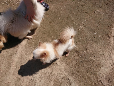 f:id:roukenhome-ann:20190410081150j:plain
