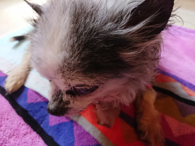 f:id:roukenhome-ann:20190410081233j:plain
