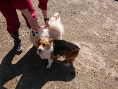 f:id:roukenhome-ann:20190410081245j:plain