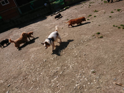 f:id:roukenhome-ann:20190410081250j:plain