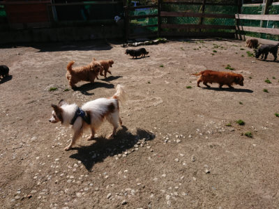 f:id:roukenhome-ann:20190410081255j:plain