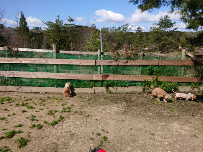 f:id:roukenhome-ann:20190410081315j:plain