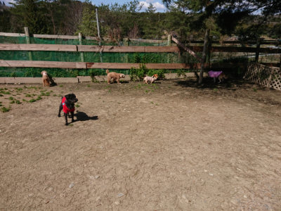 f:id:roukenhome-ann:20190410081339j:plain