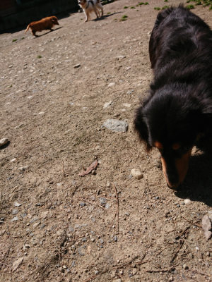 f:id:roukenhome-ann:20190410081344j:plain