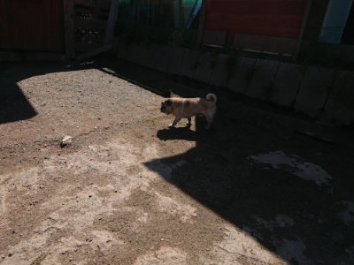 f:id:roukenhome-ann:20190410081416j:plain