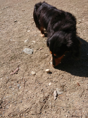 f:id:roukenhome-ann:20190410081421j:plain