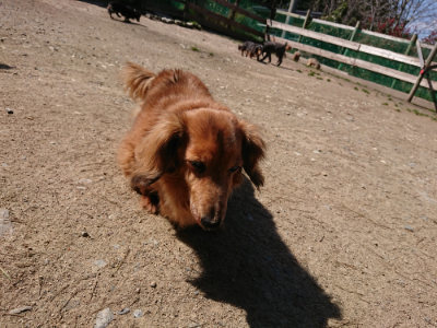 f:id:roukenhome-ann:20190410081426j:plain