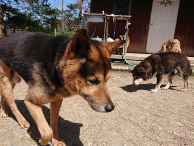f:id:roukenhome-ann:20190410081432j:plain