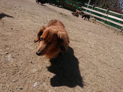 f:id:roukenhome-ann:20190410081444j:plain