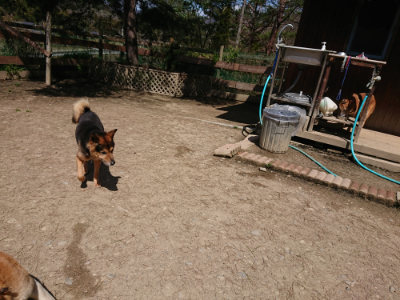 f:id:roukenhome-ann:20190410081456j:plain