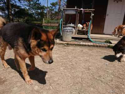 f:id:roukenhome-ann:20190410081501j:plain