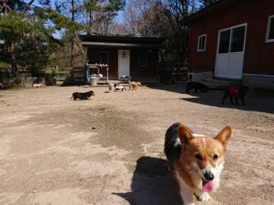 f:id:roukenhome-ann:20190410081506j:plain