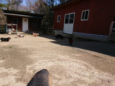 f:id:roukenhome-ann:20190410081512j:plain