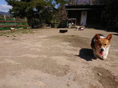 f:id:roukenhome-ann:20190410081533j:plain