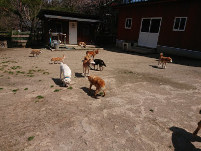 f:id:roukenhome-ann:20190410081815j:plain