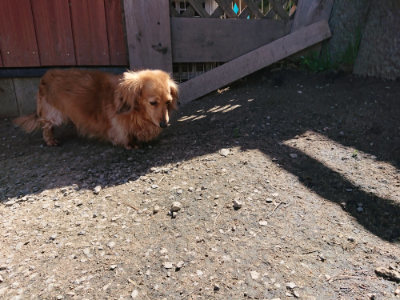 f:id:roukenhome-ann:20190410081838j:plain