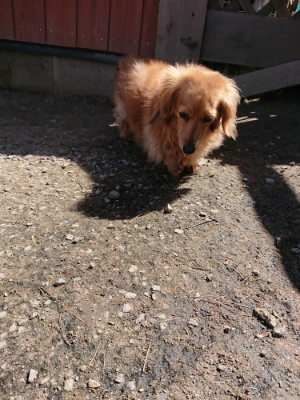 f:id:roukenhome-ann:20190410081844j:plain