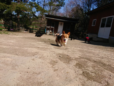 f:id:roukenhome-ann:20190410081851j:plain