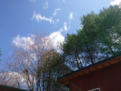 f:id:roukenhome-ann:20190410081901j:plain