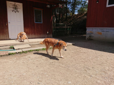 f:id:roukenhome-ann:20190410081906j:plain