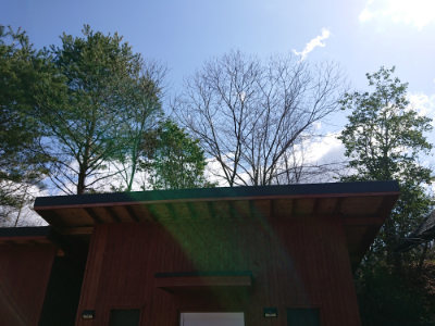 f:id:roukenhome-ann:20190410081911j:plain