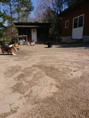 f:id:roukenhome-ann:20190410081917j:plain