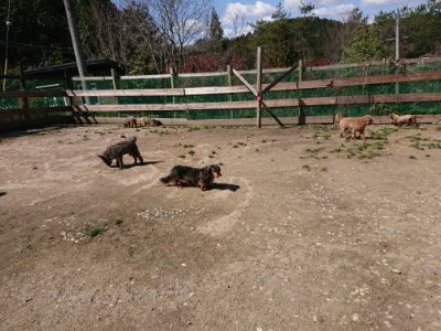 f:id:roukenhome-ann:20190410081922j:plain