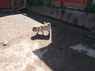 f:id:roukenhome-ann:20190410081937j:plain