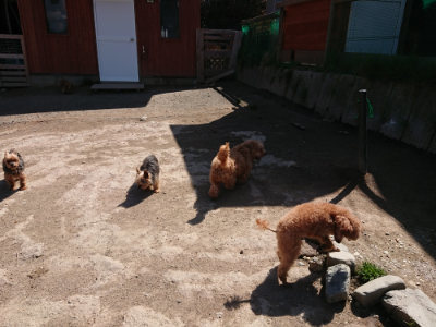 f:id:roukenhome-ann:20190410082044j:plain
