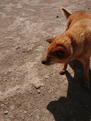 f:id:roukenhome-ann:20190410082204j:plain