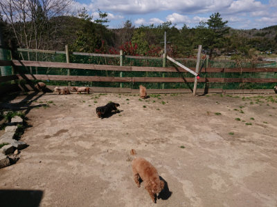 f:id:roukenhome-ann:20190410082234j:plain