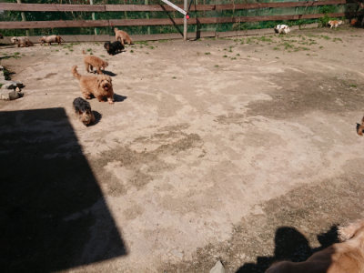 f:id:roukenhome-ann:20190410082257j:plain