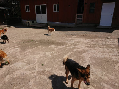 f:id:roukenhome-ann:20190410082305j:plain