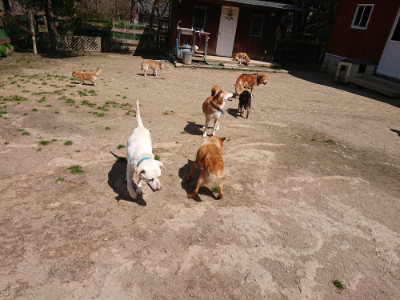 f:id:roukenhome-ann:20190410082310j:plain