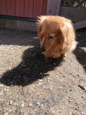 f:id:roukenhome-ann:20190410082325j:plain