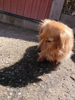 f:id:roukenhome-ann:20190410082332j:plain