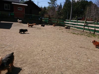 f:id:roukenhome-ann:20190410082424j:plain