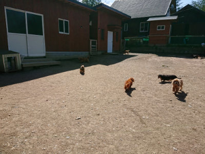 f:id:roukenhome-ann:20190410082429j:plain