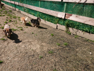 f:id:roukenhome-ann:20190410082446j:plain