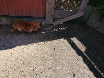 f:id:roukenhome-ann:20190410082458j:plain