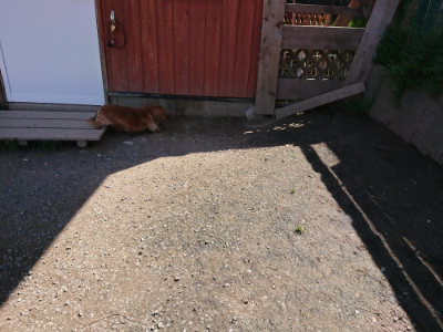 f:id:roukenhome-ann:20190410082520j:plain