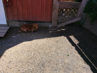 f:id:roukenhome-ann:20190410082526j:plain