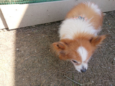 f:id:roukenhome-ann:20190410082541j:plain