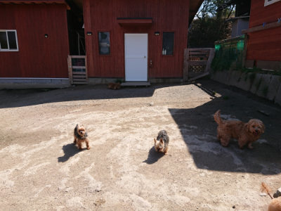 f:id:roukenhome-ann:20190410082547j:plain